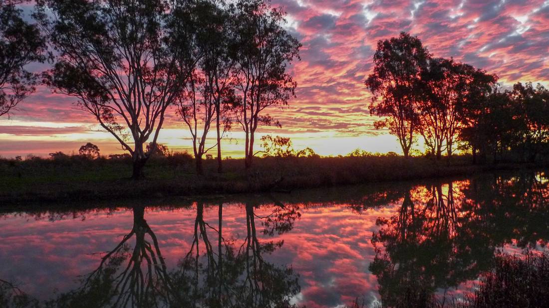 Sunset reflected in Loddon River with eucalyptus trees silhouetted