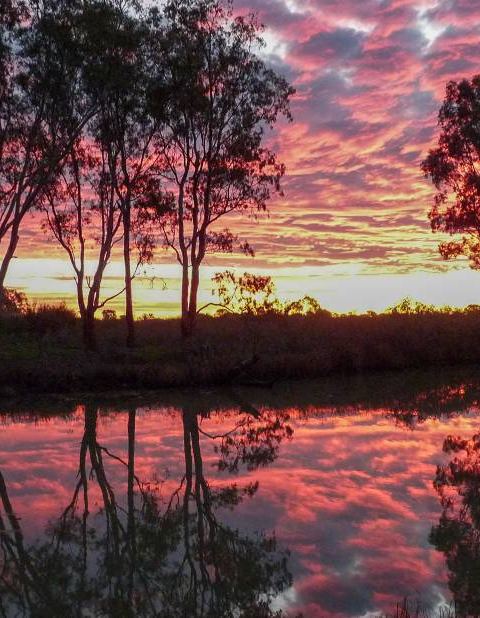 Sunset reflected in Loddon River with eucalyptus trees silhouetted